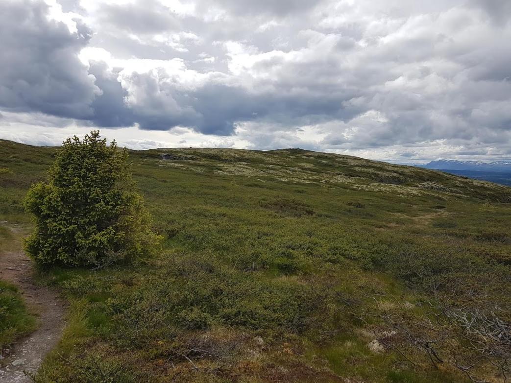 Hos Blafjelldal, Bagn I Valdres Bed & Breakfast エクステリア 写真